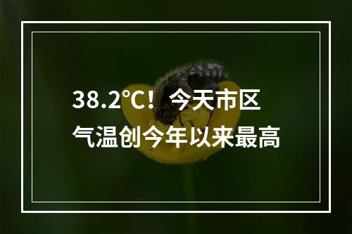 38.2℃！今天市区气温创今年以来最高