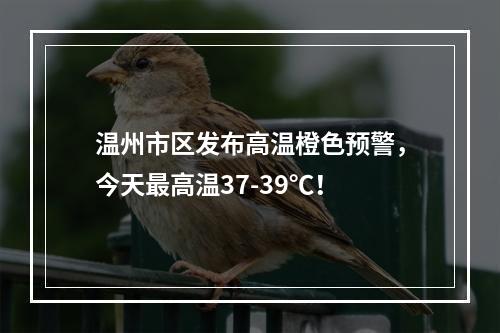 温州市区发布高温橙色预警，今天最高温37-39℃！