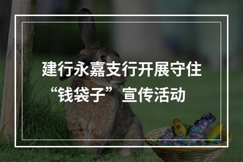 建行永嘉支行开展守住“钱袋子”宣传活动