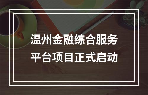 温州金融综合服务平台项目正式启动