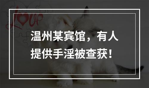 温州某宾馆，有人提供手淫被查获！