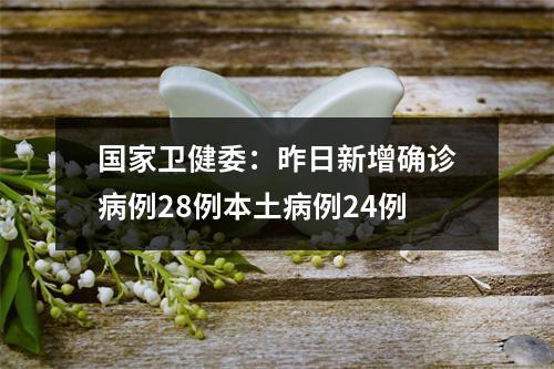 国家卫健委：昨日新增确诊病例28例本土病例24例