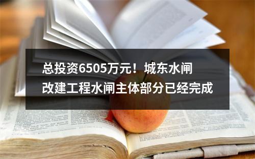 总投资6505万元！城东水闸改建工程水闸主体部分已经完成
