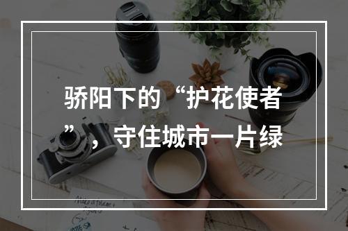 骄阳下的“护花使者”，守住城市一片绿