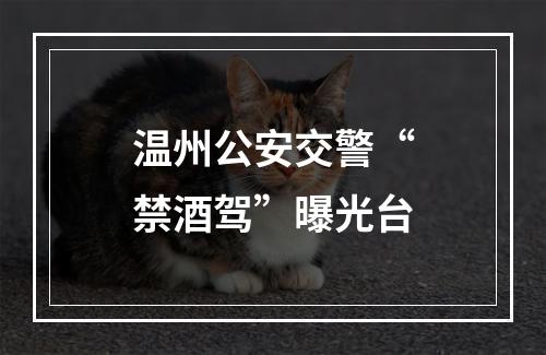 温州公安交警“禁酒驾”曝光台