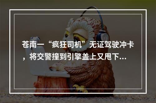 苍南一“疯狂司机”无证驾驶冲卡，将交警撞到引擎盖上又甩下车！