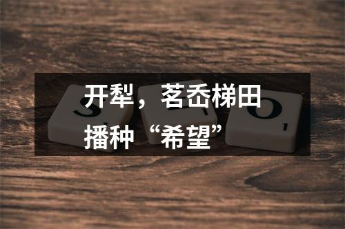 开犁，茗岙梯田播种“希望”