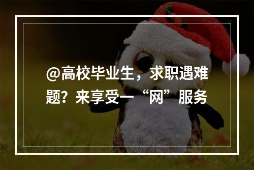 @高校毕业生，求职遇难题？来享受一“网”服务