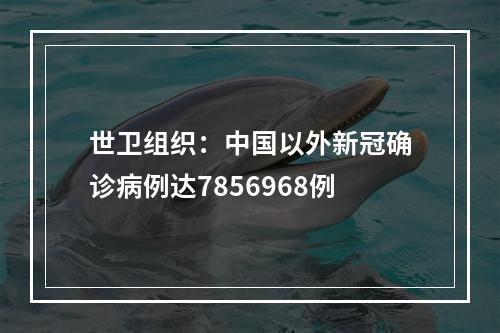世卫组织：中国以外新冠确诊病例达7856968例