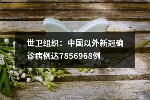世卫组织：中国以外新冠确诊病例达7856968例