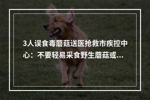 3人误食毒蘑菇送医抢救市疾控中心：不要轻易采食野生蘑菇或者来源不明的蘑 ...