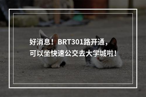 好消息！BRT301路开通，可以坐快速公交去大学城啦！