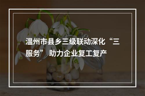 温州市县乡三级联动深化“三服务” 助力企业复工复产