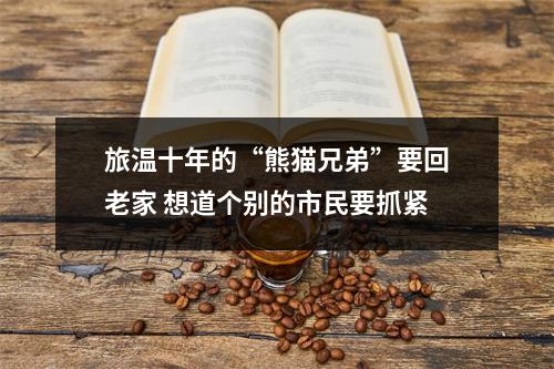 旅温十年的“熊猫兄弟”要回老家 想道个别的市民要抓紧