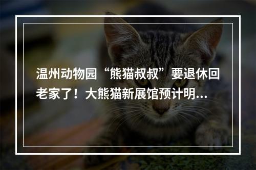 温州动物园“熊猫叔叔”要退休回老家了！大熊猫新展馆预计明年5月迎来“新住客”