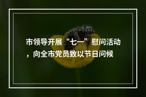 市领导开展“七一”慰问活动，向全市党员致以节日问候