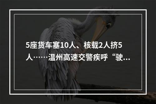 5座货车塞10人、核载2人挤5人……温州高速交警疾呼“驶不得”！