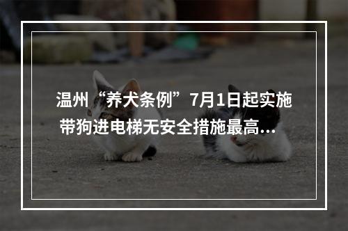 温州“养犬条例”7月1日起实施 带狗进电梯无安全措施最高罚500元