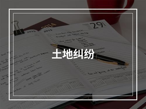土地纠纷