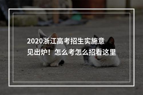 2020浙江高考招生实施意见出炉！怎么考怎么招看这里