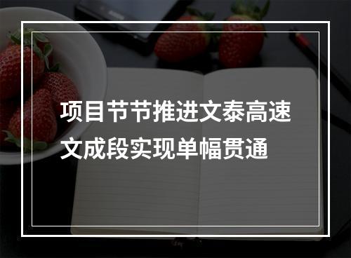 项目节节推进文泰高速文成段实现单幅贯通