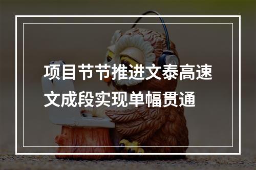 项目节节推进文泰高速文成段实现单幅贯通