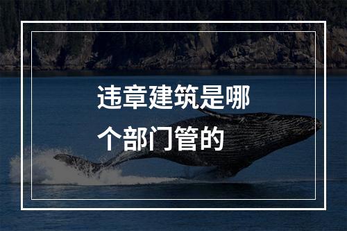 违章建筑是哪个部门管的