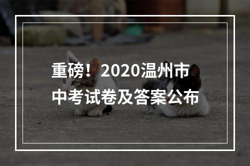 重磅！2020温州市中考试卷及答案公布