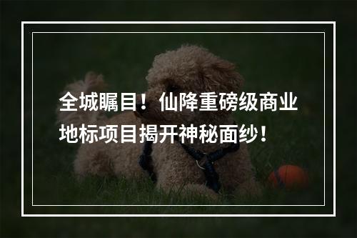 全城瞩目！仙降重磅级商业地标项目揭开神秘面纱！