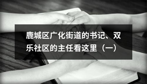 鹿城区广化街道的书记、双乐社区的主任看这里（一）