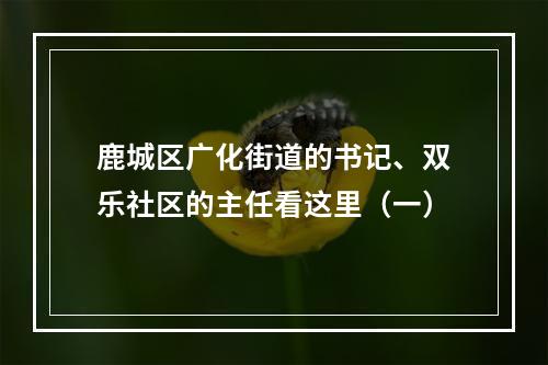 鹿城区广化街道的书记、双乐社区的主任看这里（一）