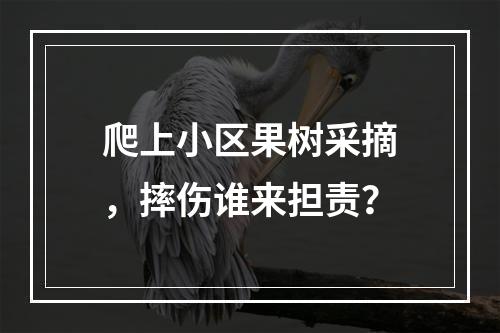 爬上小区果树采摘，摔伤谁来担责？
