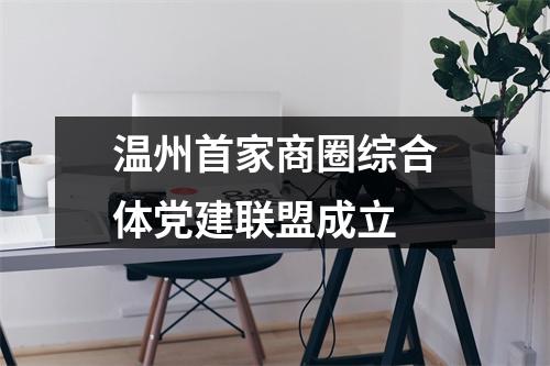 温州首家商圈综合体党建联盟成立