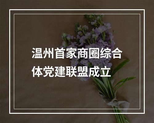 温州首家商圈综合体党建联盟成立