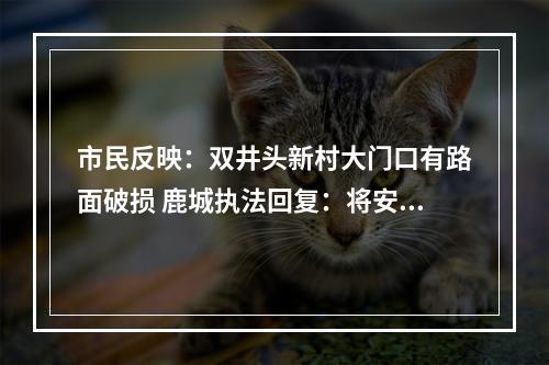 市民反映：双井头新村大门口有路面破损 鹿城执法回复：将安排执法人员现场查看