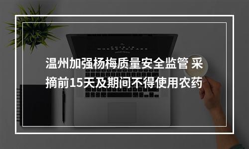 温州加强杨梅质量安全监管 采摘前15天及期间不得使用农药