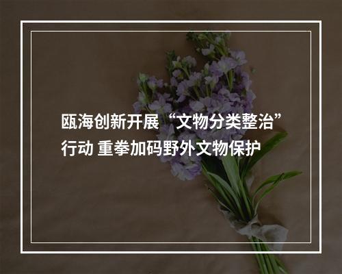 瓯海创新开展“文物分类整治”行动 重拳加码野外文物保护