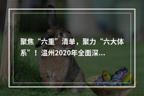 聚焦“六重”清单，聚力“六大体系”！温州2020年全面深化改革“路线图”出炉