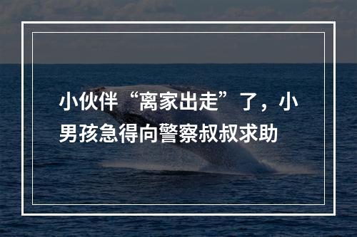 小伙伴“离家出走”了，小男孩急得向警察叔叔求助