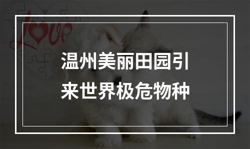 温州美丽田园引来世界极危物种