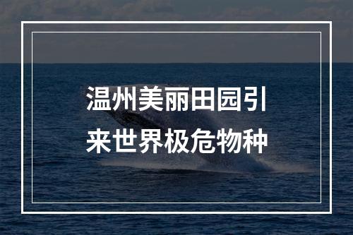 温州美丽田园引来世界极危物种
