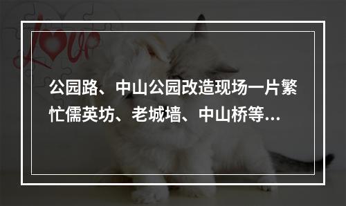公园路、中山公园改造现场一片繁忙儒英坊、老城墙、中山桥等成施工重点