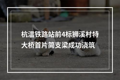 杭温铁路站前4标狮溪村特大桥首片简支梁成功浇筑