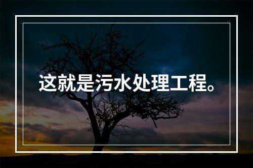 这就是污水处理工程。