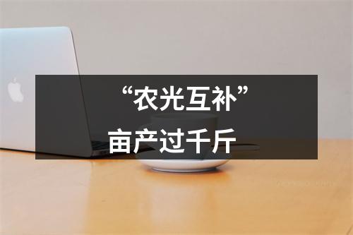 “农光互补”亩产过千斤