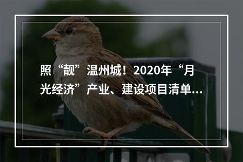照“靓”温州城！2020年“月光经济”产业、建设项目清单出炉！