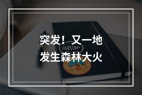 突发！又一地发生森林大火
