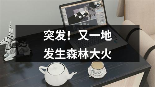 突发！又一地发生森林大火