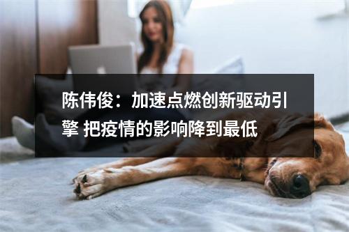 陈伟俊：加速点燃创新驱动引擎 把疫情的影响降到最低