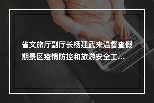 省文旅厅副厅长杨建武来温督查假期景区疫情防控和旅游安全工作